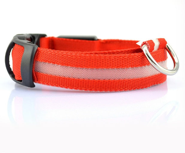 Ultrabright Dog LED Collar