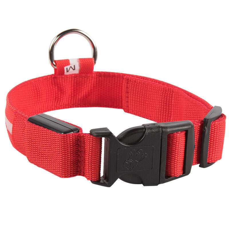 Dog LED Collar Blinking Night Flashing Light up Glow Adjustable Pets Safety US