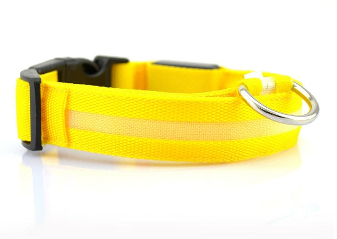 Ultrabright Dog LED Collar