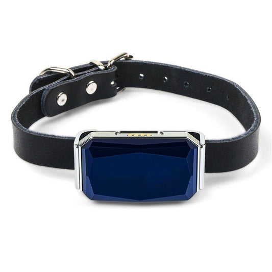 GuardianTrack Pro: Smart GPS Tracker