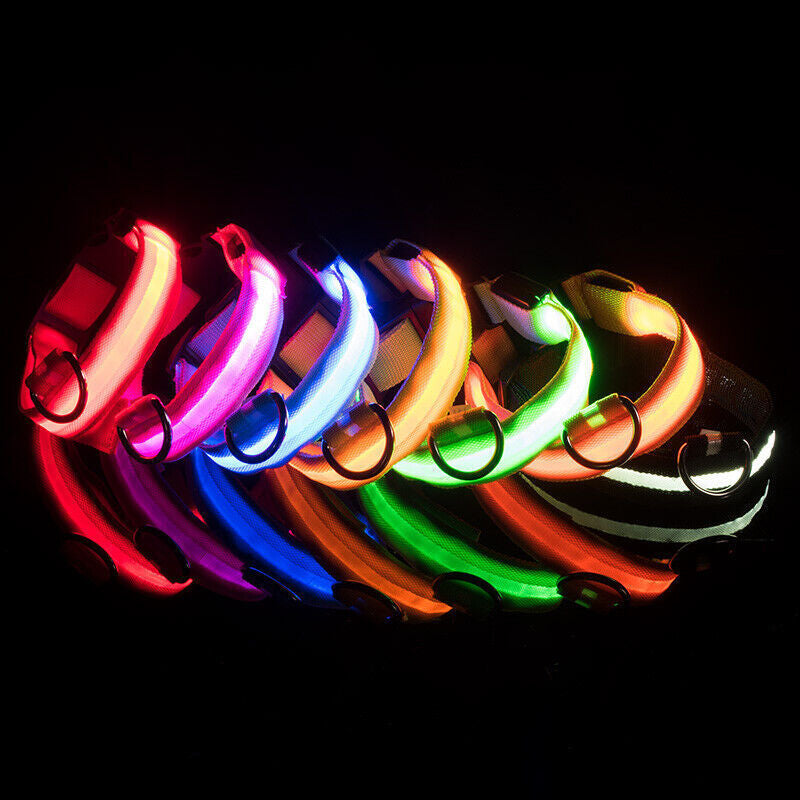Dog LED Collar Blinking Night Flashing Light up Glow Adjustable Pets Safety US