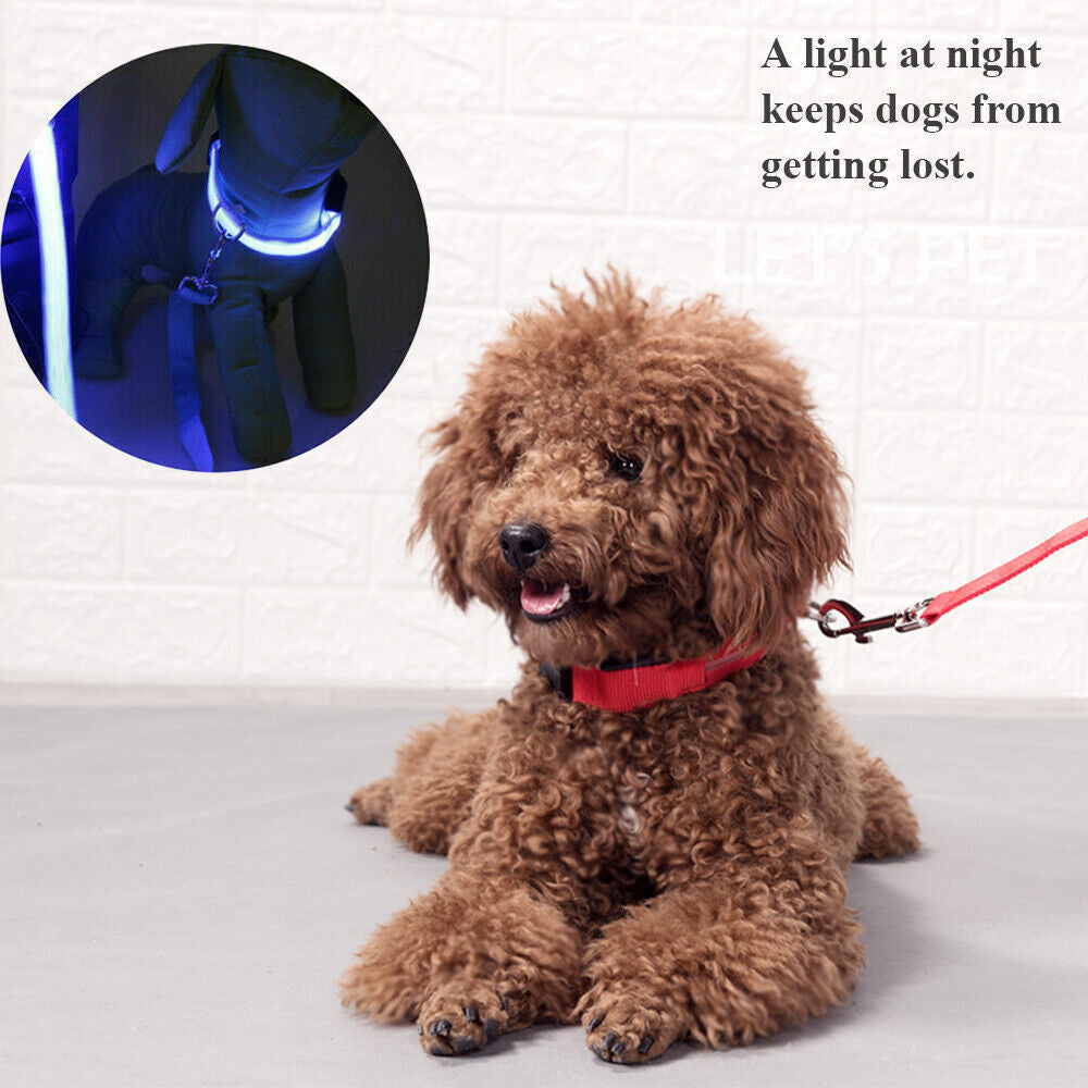 Dog LED Collar Blinking Night Flashing Light up Glow Adjustable Pets Safety US